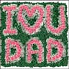 2 My Inspiration - Click here to View more details about this Product